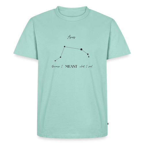 Aries - Say what they mean! - mint